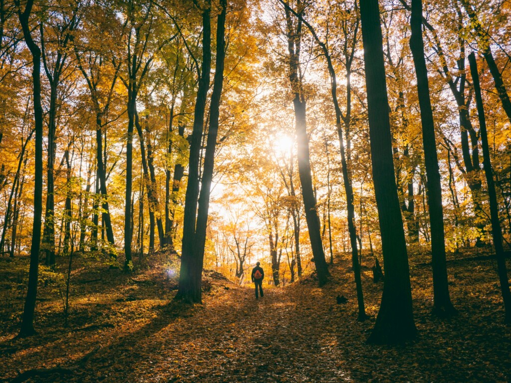 Ausflüge ab Opatija in die Natur: 6 Wanderungen für den Herbst und gegen die Sommerhitze